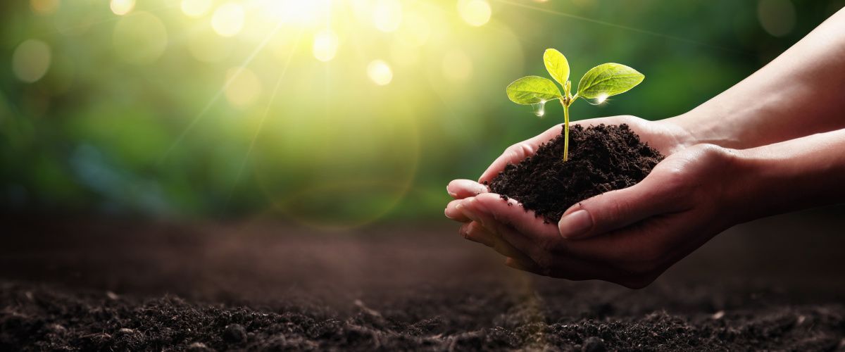 Brighouse sustainability